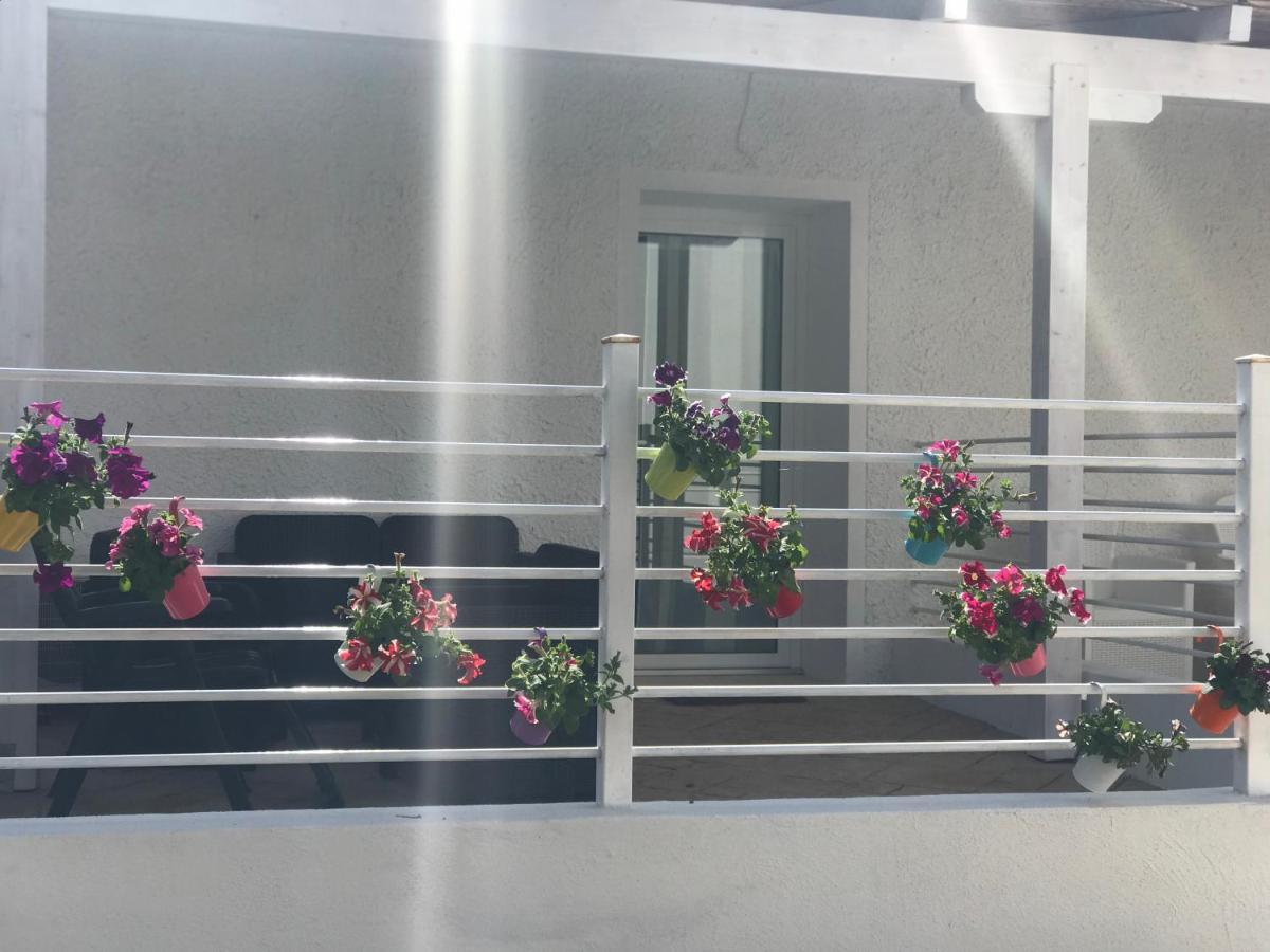 Janas Country House Castelsardo Luaran gambar